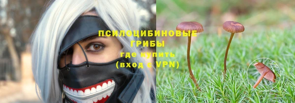 винт Абаза