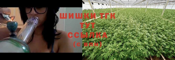 прущие грибы Алексеевка