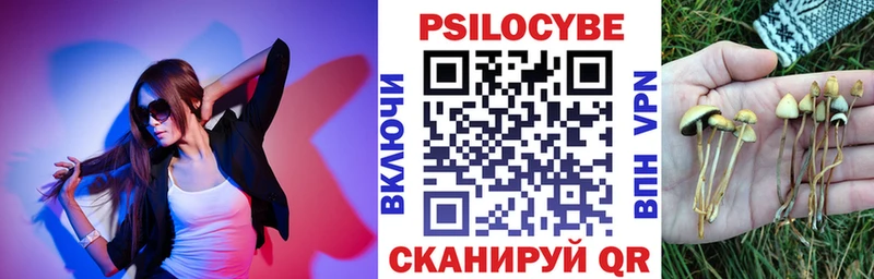 дарнет шоп  MEGA рабочий сайт  Псилоцибиновые грибы Psilocybine cubensis  Исилькуль 